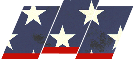 Saluting the Flag